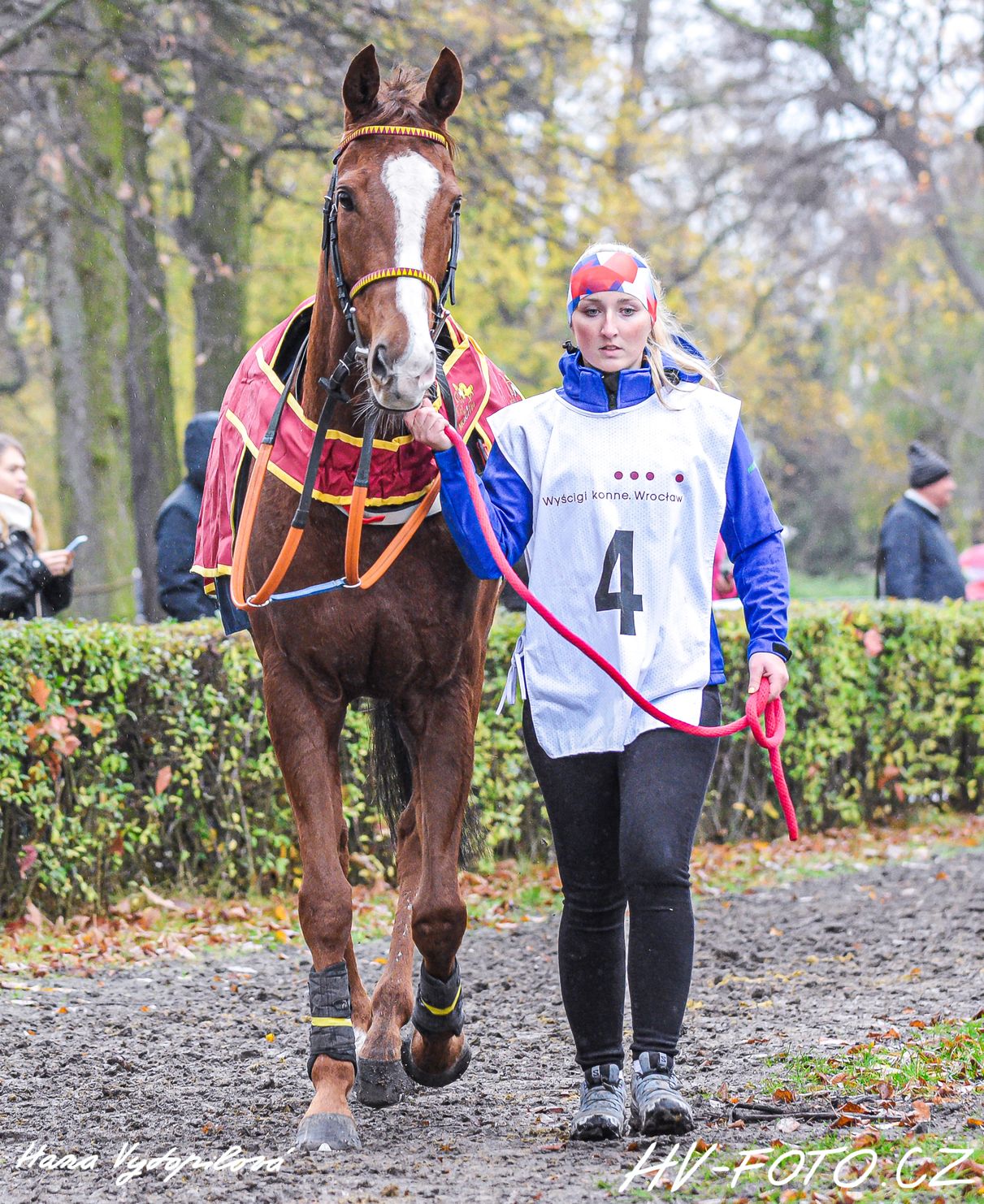 DSC_6162 kopie.jpg